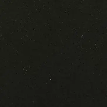 PU Liso Negro profundo