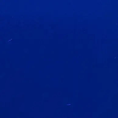 PU Silicona