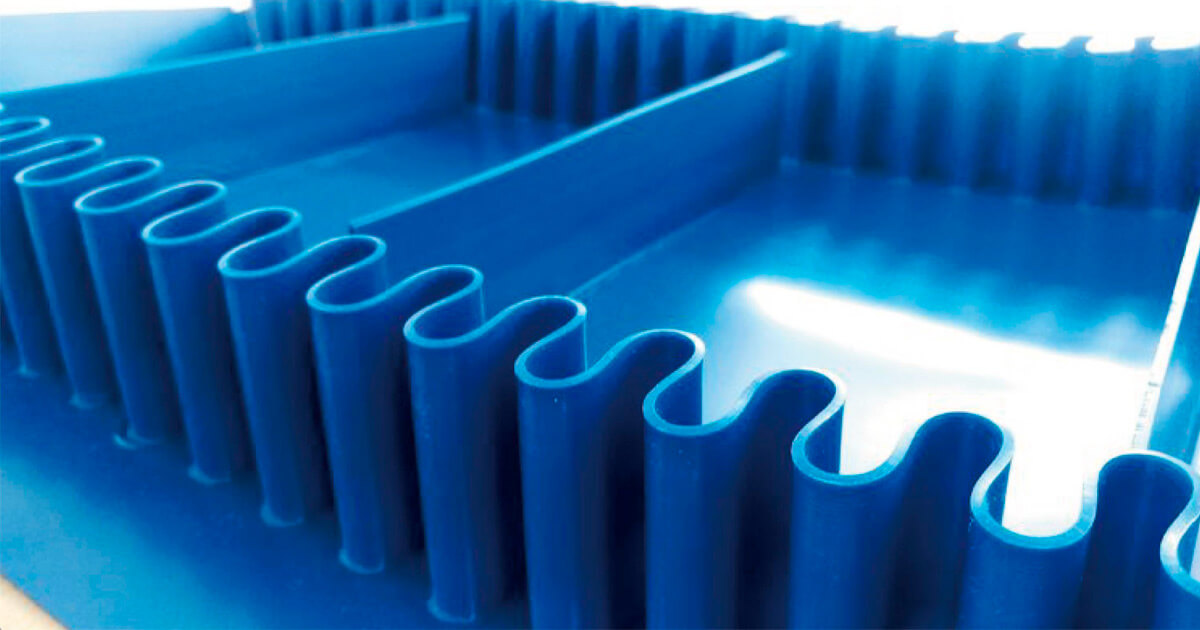 Innovación en bandas transportadoras para el sector alimenticio: presentamos VEGABLUE y OMEGABLUE de Rigalli