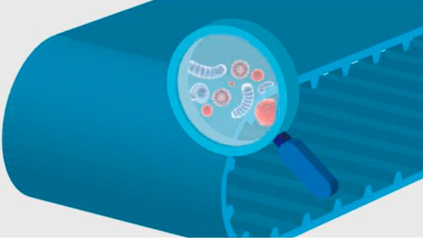 Cinta transportadora de PU antibacteriana
