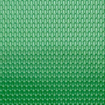 Vista trasera Zetun Green